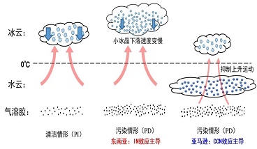 CCN（云凝結(jié)核）效應(yīng)、IN（冰核）效應(yīng)