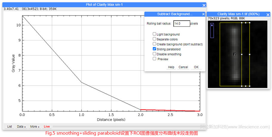 Fig 5 smoothing+sliding paraboloid設(shè)置下ROI圖像強(qiáng)度分布曲線(xiàn)末段走勢(shì)圖.jpg