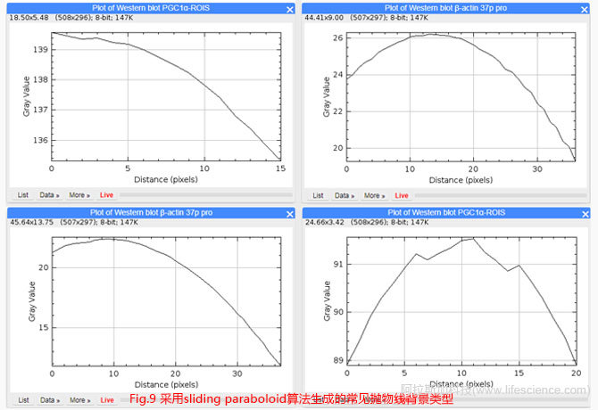 Fig 9 采用sliding paraboloid算法生成的常見(jiàn)拋物線(xiàn)背景類(lèi)型.jpg