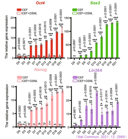CFX Connect實時熒光定量PCR儀對iPS多能性標記基因Oct4、Sox2、Nanog和Lin28A表達的檢測.jpg