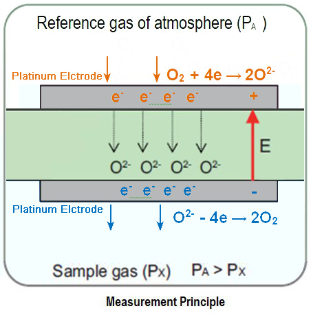 TSE PhenoMaster NG、Columbus CLAMS動物代謝分析系統(tǒng)氣體O2含量監(jiān)測的氧化鋯氧傳感器工作原理.jpg